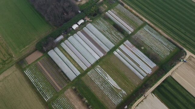Aerial view of countryside fields with farming greenhouses for agrarian production in Brianza region near Milan, Lombardy, Italy. Italian rural landscape near Milano seen from drone flying in the sky