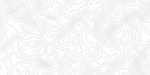 Fototapeta premium Abstract background vector. Abstract topographic contours map background. Abstract white pattern topography vector background. Black and white topography contour line map isolated on white background.