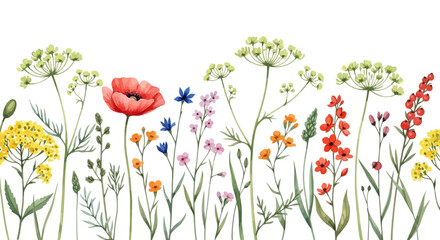 Vibrant Watercolor Seamless Border of Wildflowers and Delicate Blossoms in a Field of Greenery © imran