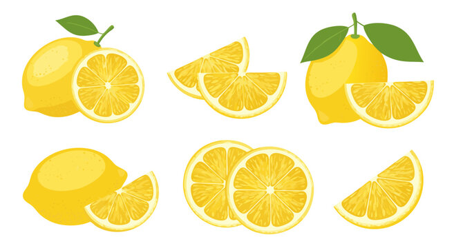 Vector illustration of fresh yellow lemons and slices in rows arrangement against blank background