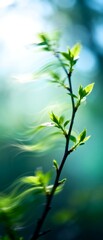 Naklejka premium Young Green Sprout Branch with Fresh Leaves