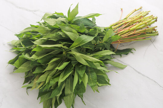 A fresh bunch of cassava leaves (daun singkong), bundled together and laid on a marble-textured surface. 