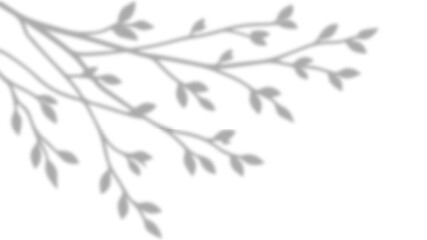 Fototapeta premium Realistic Small Leafy Branches and Foliage Shadow Overlay Effect on White Wall, Aesthetic Summer Sunlight Botanical Shadow, Abstract Natural Plant Stem Shadow Overlay
