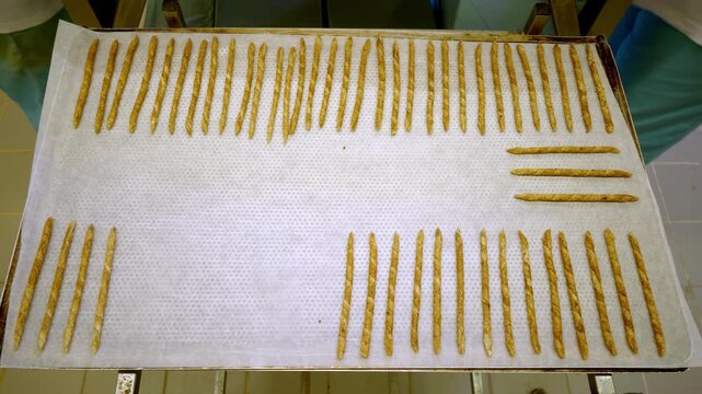 Hands arranging grissini breadsticks on a baking tray with parchment paper in a bakery kitchen, artisan dough sticks lined up for baking, snack production and food preparation
