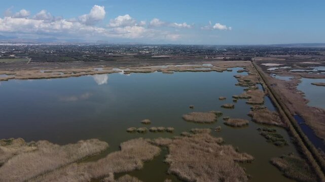 The marshes of El Hondo Natural Park, a bird sanctuary. Elche, Spain.