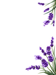 Obraz premium Lavender flower wreath isolated on white background representing natural floral decoration.