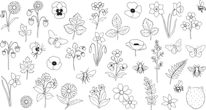 Diverse Botanical Collection Hand-Drawn Outline Illustrations Featuring Wildflowers, Butterflies, Bees, and Various Plants for Creative Design Projects