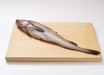 1,날것,동태,나무도마 © JinChang