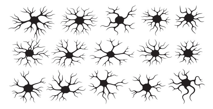 Stylized neuron cells in black, representing brain activity and neural network connections.