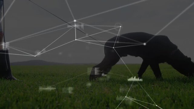 Sniffing black dog moving across grassy field as man entering wearing boots holding taut leash, HUD