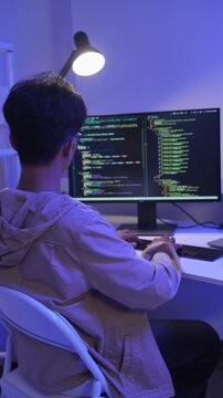 Programmer developer coding script