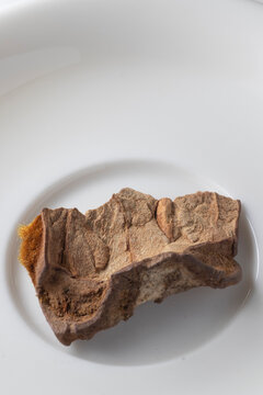 Cibotium barometz - Rhizome of Scythian Lamb