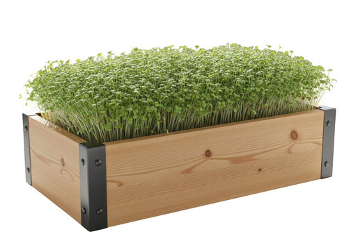 Rectangular wooden planter box filled with lush green artificial grass isolated on transparent background