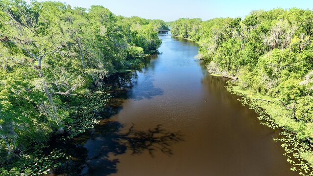 Aerial view of the dark, reflective waters winding through a verdant corridor of dense trees, a serene escape under the vast sky, St. Augustine, Florida, United States.