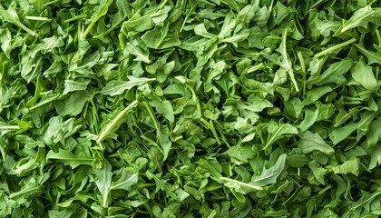 Fototapeta premium Dried Arugula Flakes and Dehydrated Greens Creating a Textured Background of Vibrant Color