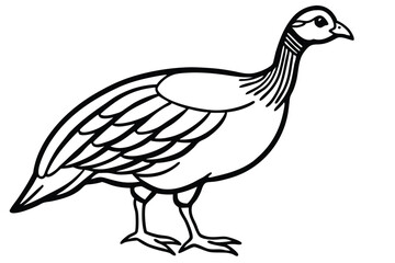 Fototapeta premium guineafowl bird silhouette line art vector illustration with a white background