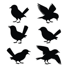 Fototapeta premium Six black bird silhouettes in various poses on white background