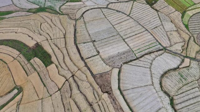  Documentary B-Roll: Spring Plowing Fields, Flooded Rice Paddies Before Transplanting, Karst Landscape