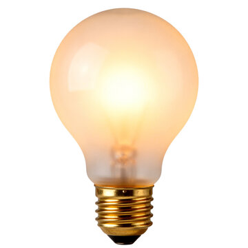 Incandescent Light Bulb with Warm Glow