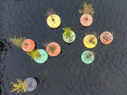 Aerial view of vibrant circular platforms adorned with greenery floating on the dark, rippled waters of Weerwater, creating a striking contrast, Almere, Flevoland, Netherlands.