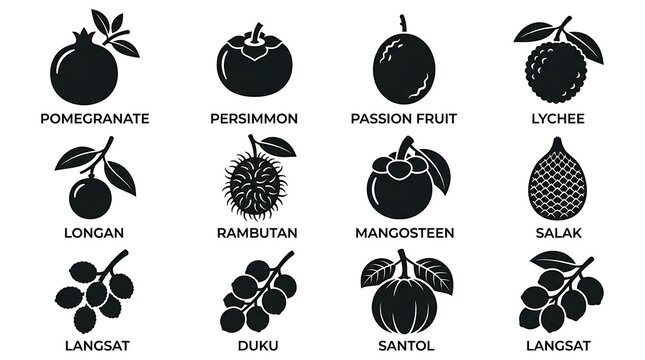 Exotic Fruit Icons and Names.