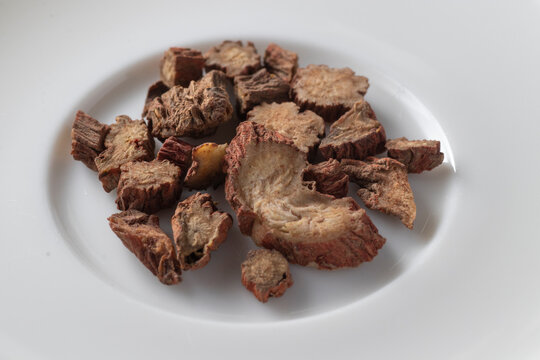 Salvia miltiorrhiza Bge. - Red sage