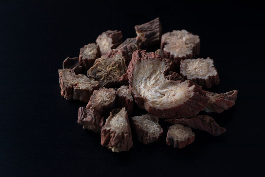 Salvia miltiorrhiza Bge. - Red sage