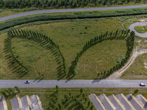 Aerial view of symmetrical rows of trees forming curved shapes on a green field, bordered by roads and parking lots, Utopia, Flevoland, Netherlands.