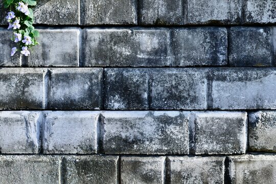 Mur en briques grises texture urbaine vieillie
