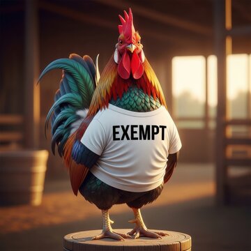 A proud rooster wearing a white t-shirt with the word exempt.