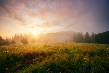 Fantastic sunset with pink clouds over mountains and misty valley. Photo wallpaper.