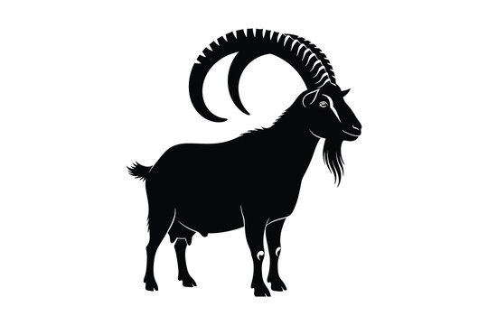 Silhouette of a majestic ibex standing tall with curved horns, set against a stark white background, exuding strength and wilderness.