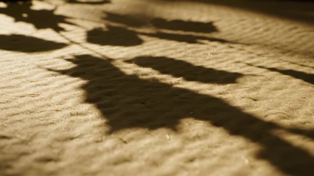 Palm leaf shadow pattern on sand beach texture