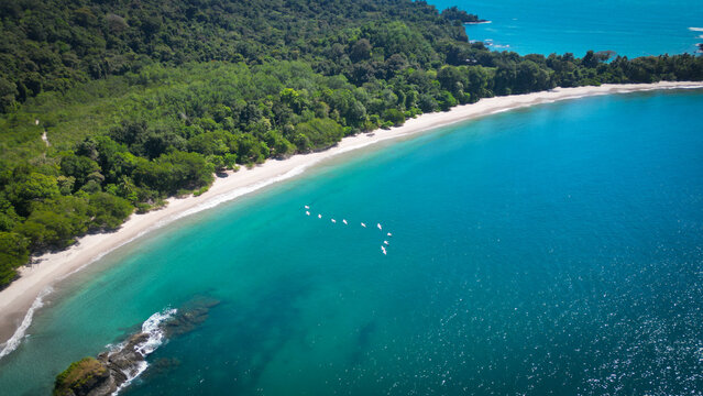 Aerial view of turquoise waters meet the lush green forests along the sandy coastline, Quepos, Puntarenas Province, Costa Rica.