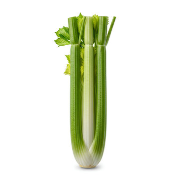 Fresh green celery stalks with leaves isolated on white background 2.