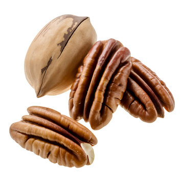 Pecans and one pecan shell on black nuts brown isolated on a transparent background