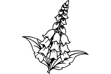 foxglove flower silhouette line art vector illustration with a white background © pipp99