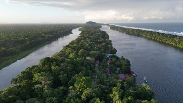 Aerial view of the verdant green canopy meeting the tranquil waters, a symphony of blues and greens under a serene sky, Tortuguero, Limon Province, Costa Rica.