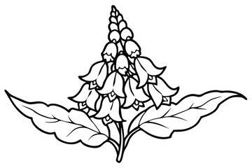 foxglove flower silhouette line art vector illustration with a white background © pipp99