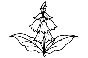 foxglove flower silhouette line art vector illustration with a white background © pipp99