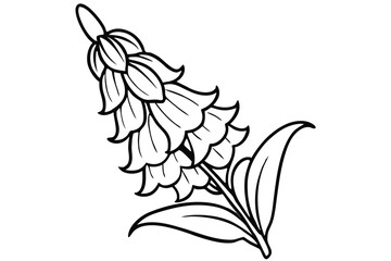 foxglove flower silhouette line art vector illustration with a white background © pipp99
