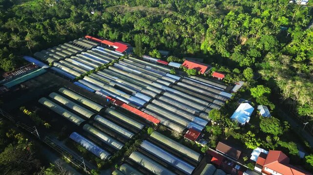 Top View perspective capturing modern houses framed by sky and greenery in a peaceful residential setting at Camella Homes Alfonso Cavite Philippines