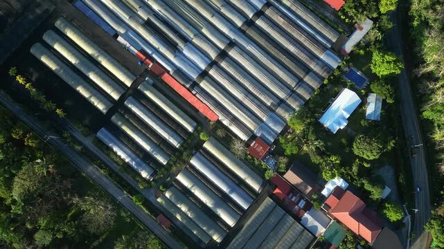 Forward-moving aerial shot approaching a calm residential subdivision with sunlit homes and green landscape at Camella Homes Alfonso Cavite Philippines