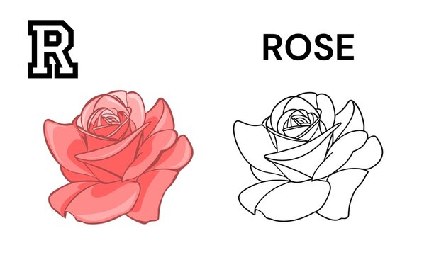 R for Rose