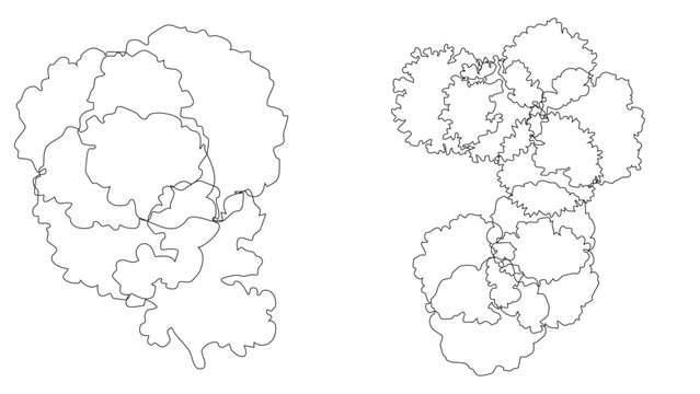 Top view line art of two tree clusters with organic shapes on transparent background.