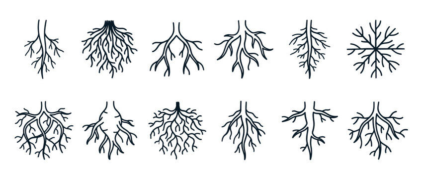 Various plant root systems illustration set showcasing different natural growth patterns and underground structures for botanical and ecological concepts.