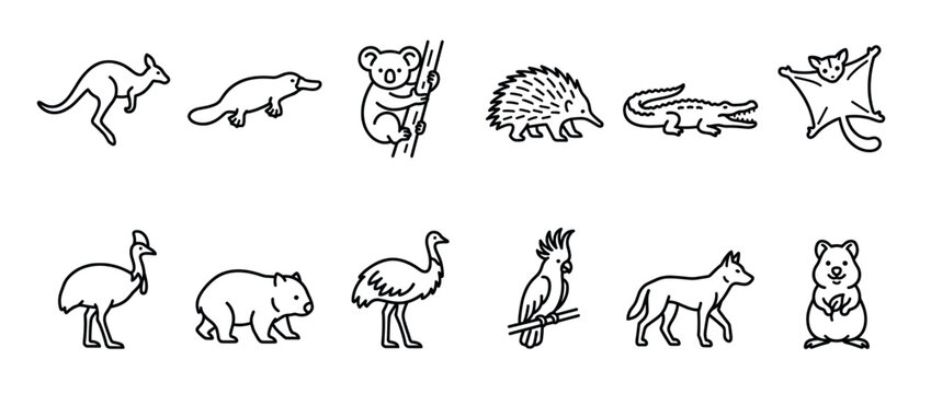 Australian animals collection featuring various wildlife creatures in simple line art style for design elements.