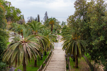Fototapeta premium Scenic elevated view of a tropical park with lush palm trees and a stone staircase leading to the sea coast. Beautiful resort landscape with exotic greenery under a cloudy spring sky. Gagra, Abkhazia.