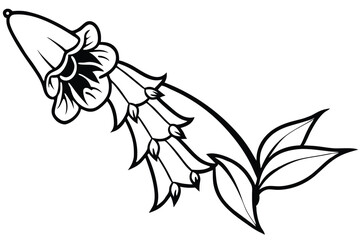 foxglove flower silhouette line art vector illustration with a white background © pipp99