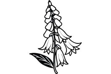 foxglove flower silhouette line art vector illustration with a white background © pipp99
